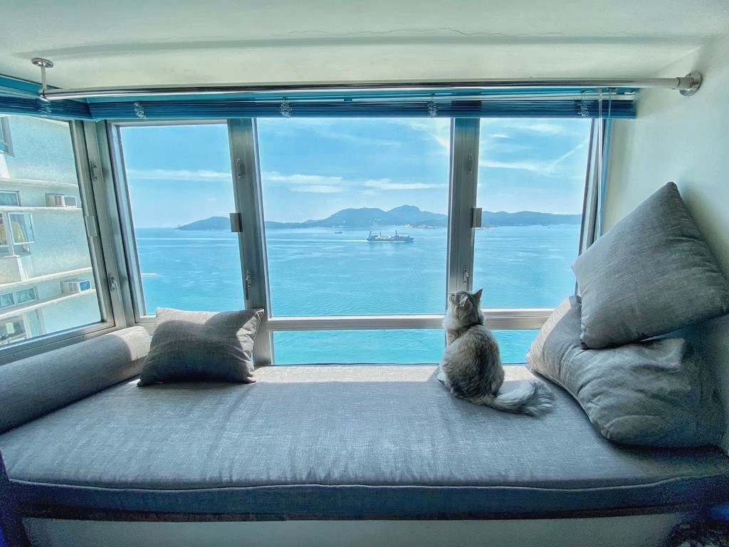 Cat on a custom grey baywindow seat overlooking the sea